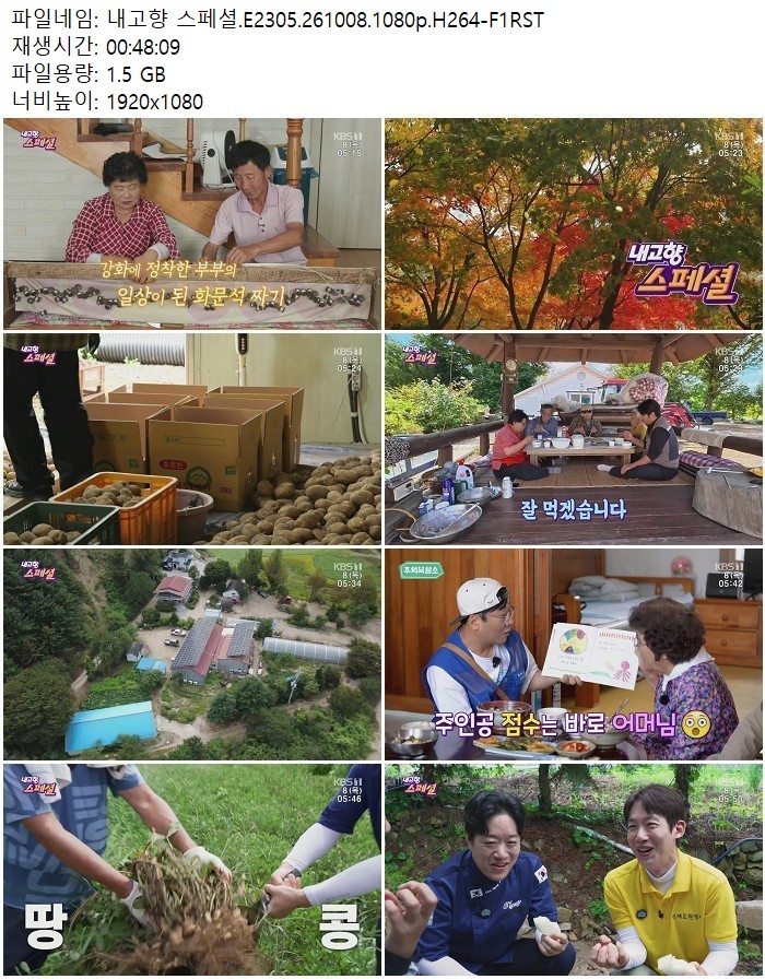 내고향 스페셜.E2305.261008.1080p.H264