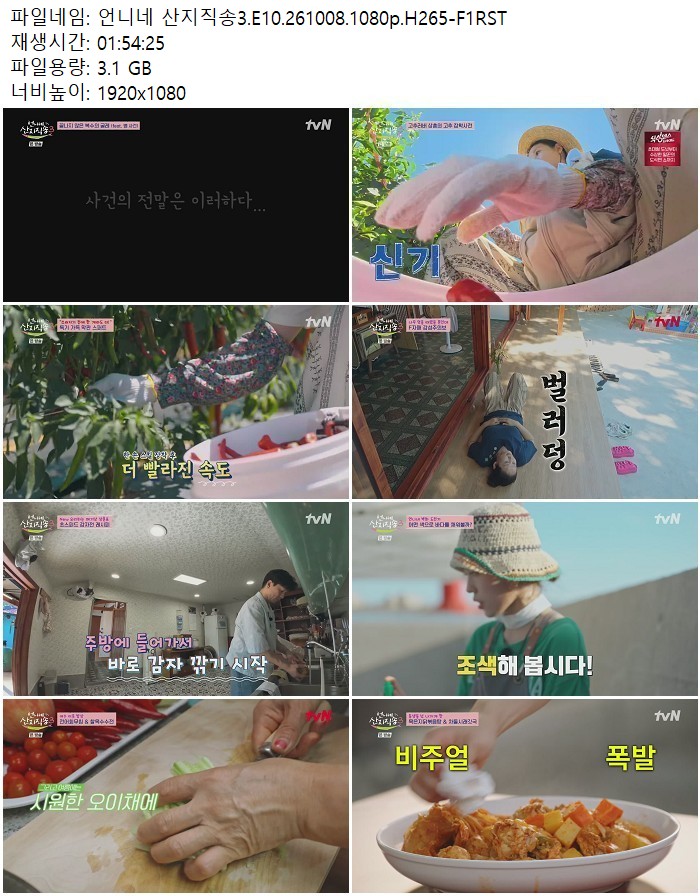 언니네 산지직송3.E10.261008.1080p.H265
