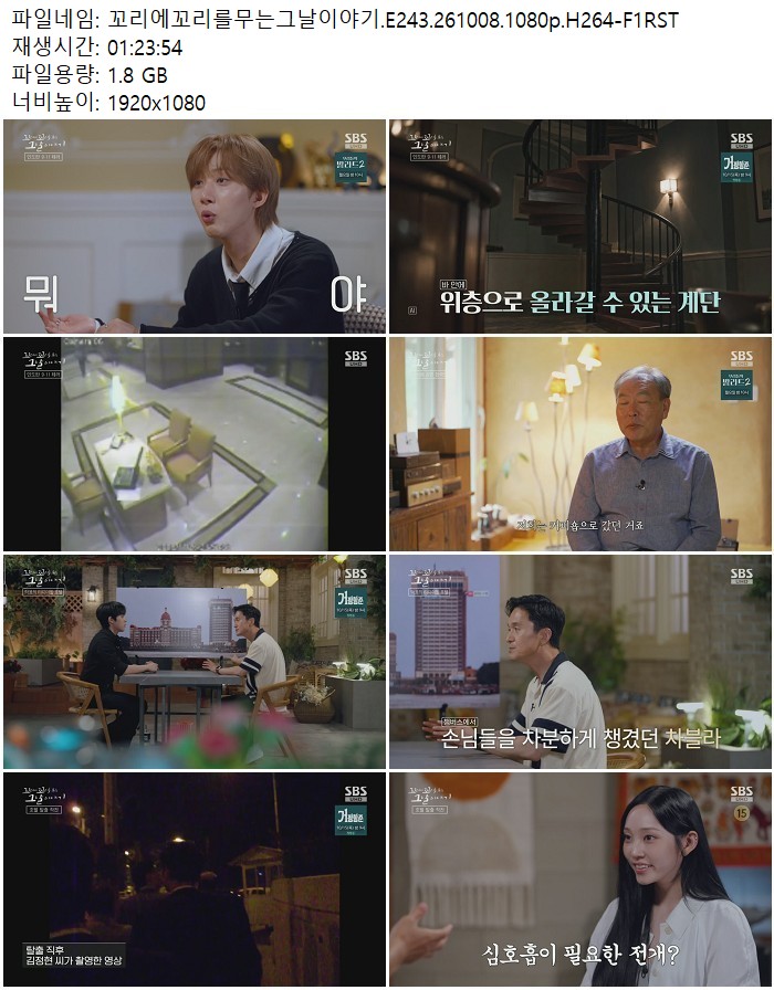 꼬리에꼬리를무는그날이야기.E243.261008.1080p.H264