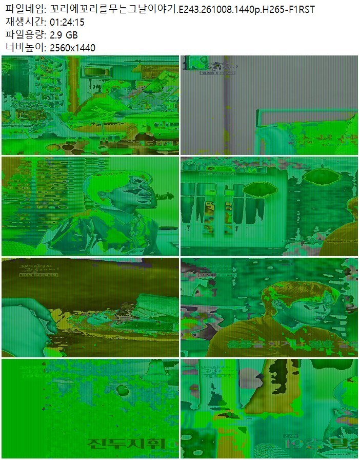 꼬리에꼬리를무는그날이야기.E243.261008.1440p.H265