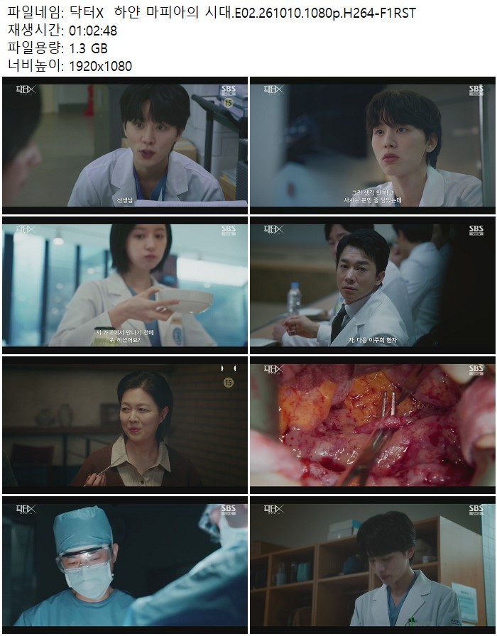 닥터X 하얀 마피아의 시대.E02.261010.1080p.H264