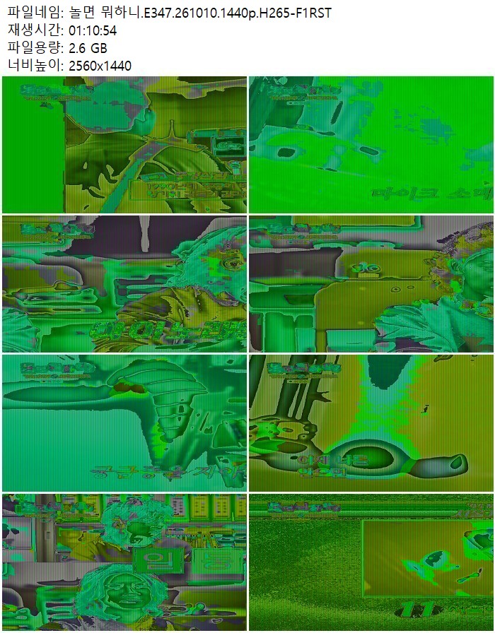 놀면 뭐하니.E347.261010.1440p.H265