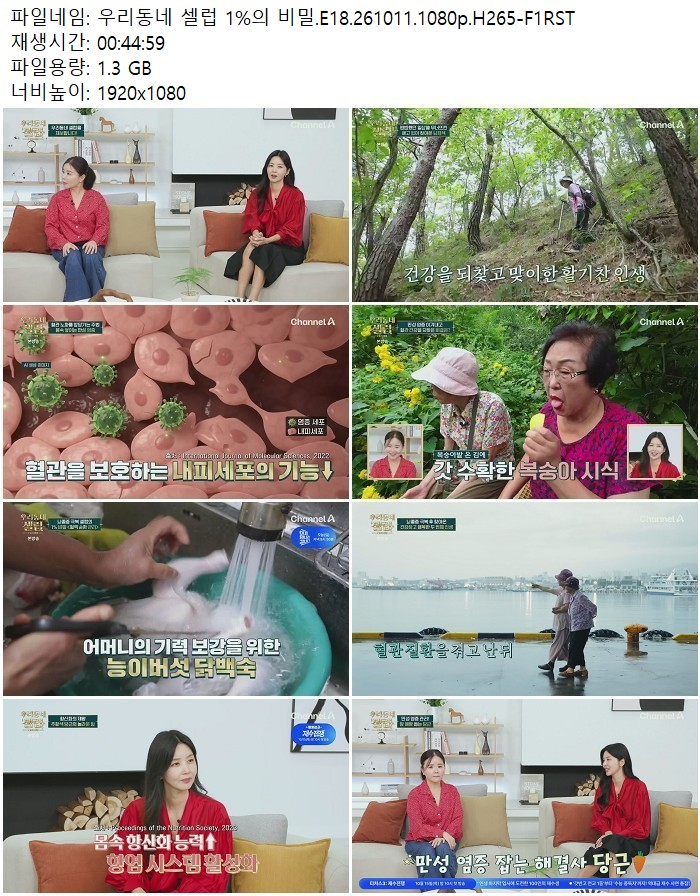 우리동네 셀럽 1%의 비밀.E18.261011.1080p.H265