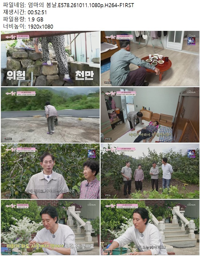 엄마의 봄날.E578.261011.1080p.H264