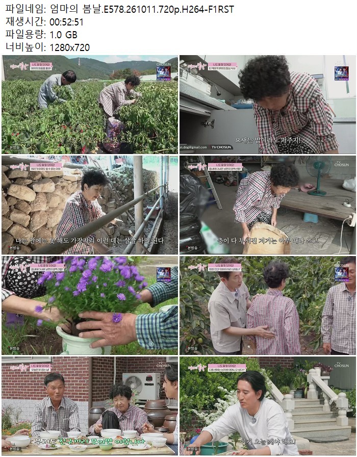 엄마의 봄날.E578.261011.720p.H264