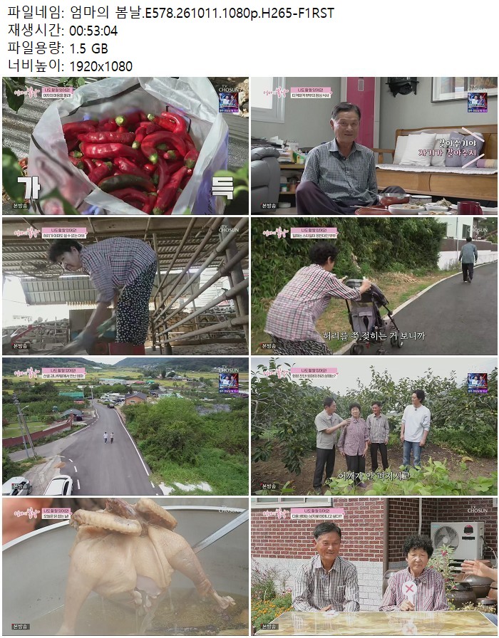 엄마의 봄날.E578.261011.1080p.H265