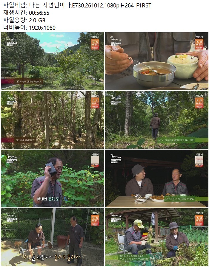 나는 자연인이다.E730.261012.1080p.H264
