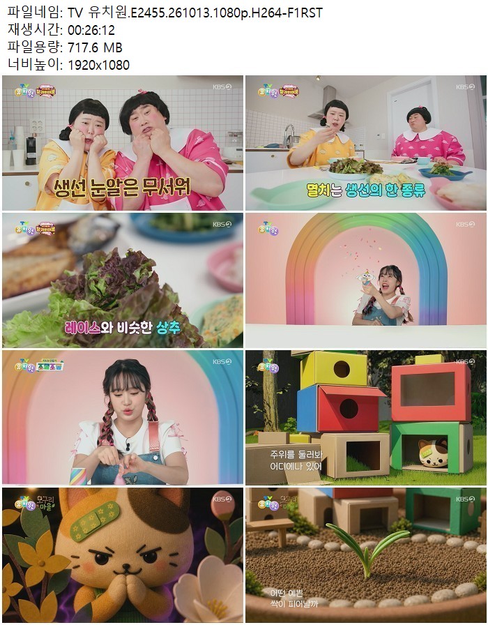 TV 유치원.E2455.261013.1080p.H264