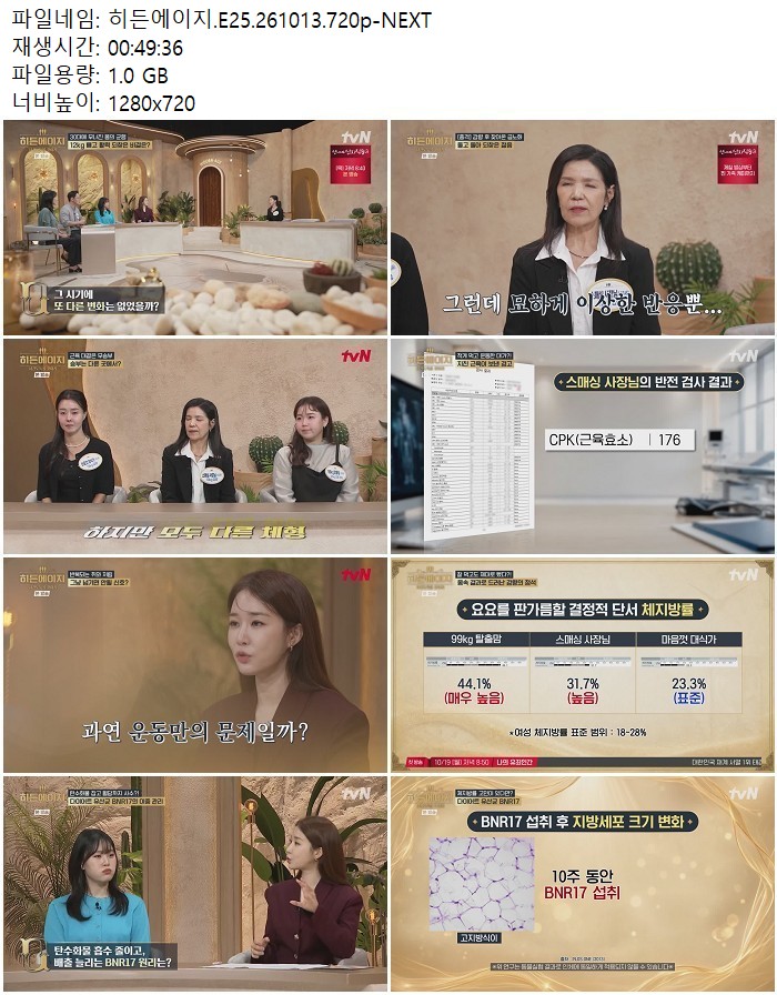 히든에이지.E25.261013.720p-NEXT