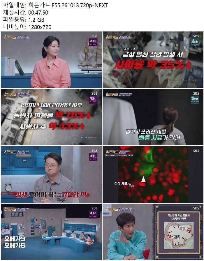 히든카드.E55.261013.720p-NEXT