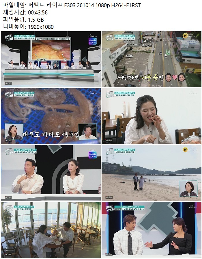 퍼펙트 라이프.E303.261014.1080p.H264