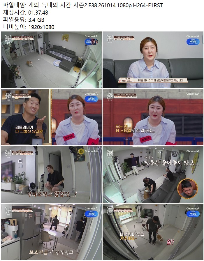 개와 늑대의 시간 시즌2.E38.261014.1080p.H264