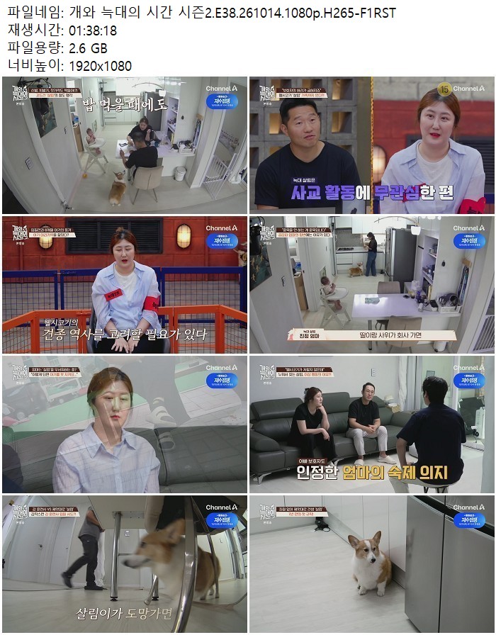 개와 늑대의 시간 시즌2.E38.261014.1080p.H265