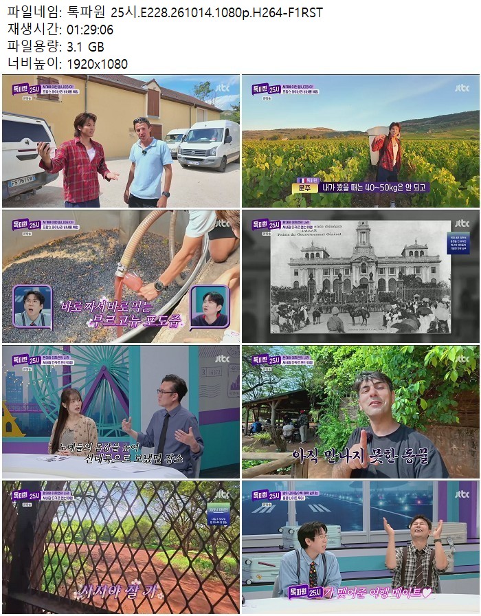 톡파원 25시.E228.261014.1080p.H264