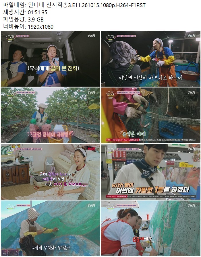 언니네 산지직송3.E11.261015.1080p.H264