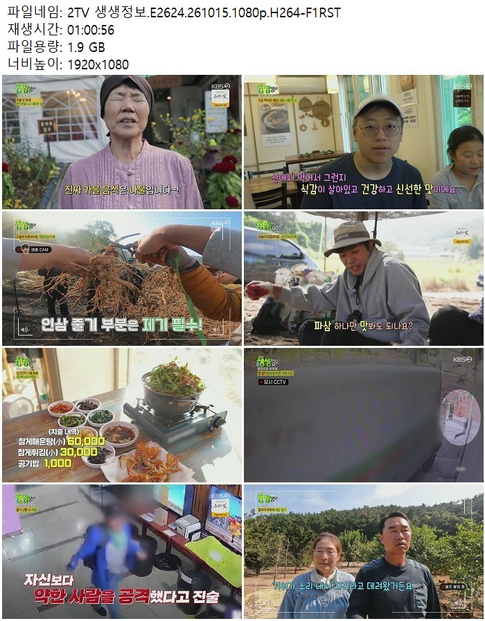 2TV 생생정보.E2624.261015.1080p.H264