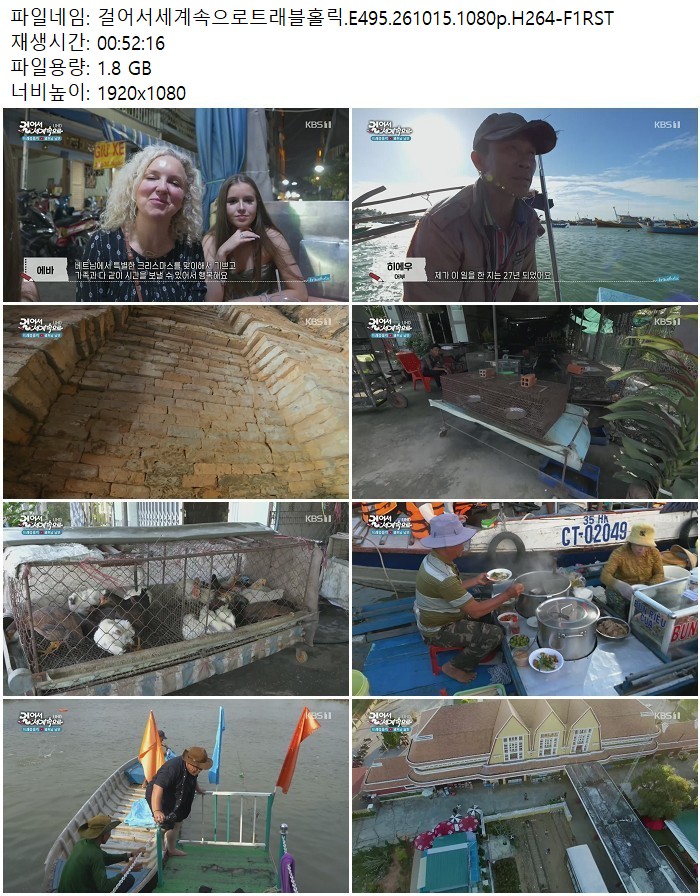 걸어서세계속으로트래블홀릭.E495.261015.1080p.H264