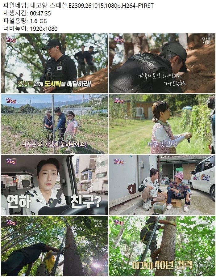 내고향 스페셜.E2309.261015.1080p.H264