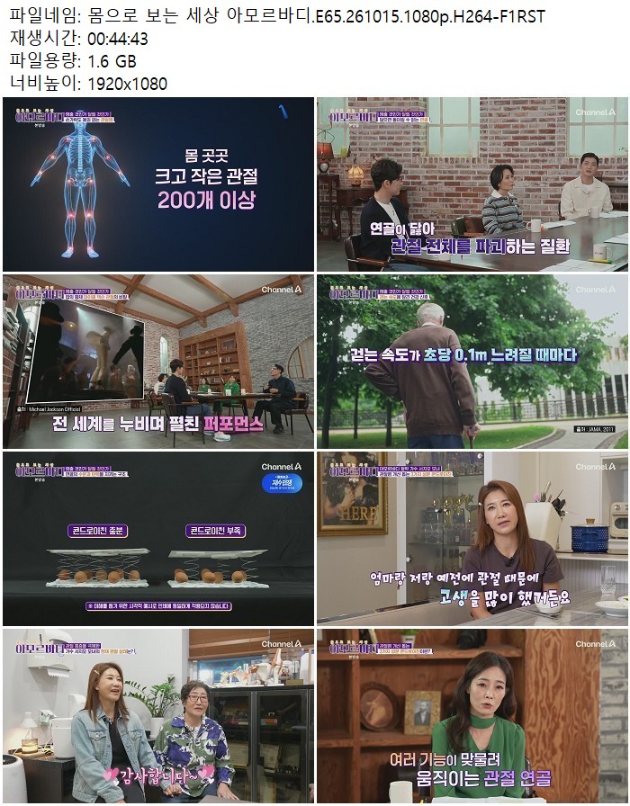 몸으로 보는 세상 아모르바디.E65.261015.1080p.H264