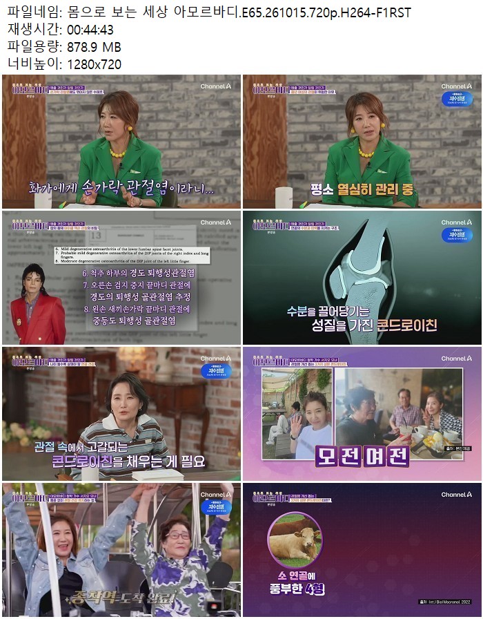 몸으로 보는 세상 아모르바디.E65.261015.720p.H264