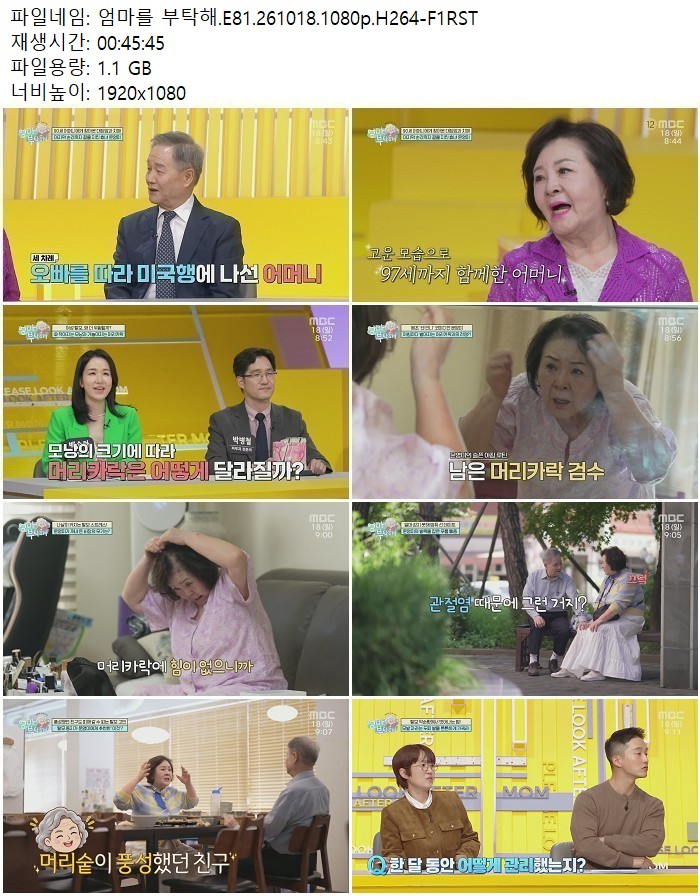 엄마를 부탁해.E81.261018.1080p.H264