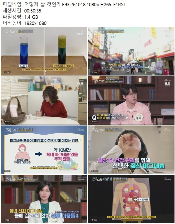 어떻게 살 것인가.E93.261018.1080p.H265