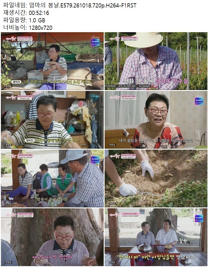 엄마의 봄날.E579.261018.720p.H264