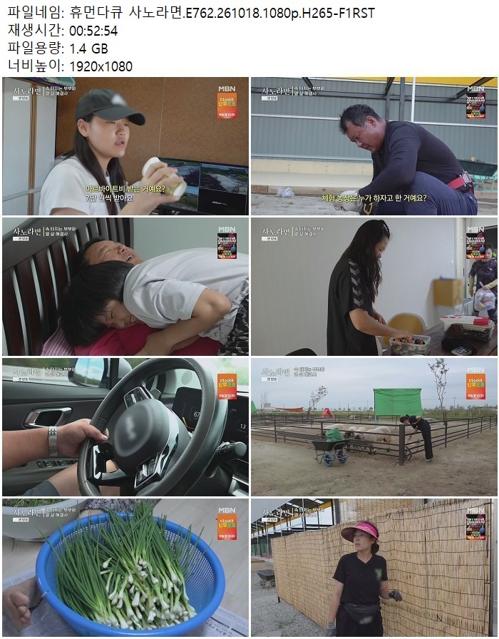 휴먼다큐 사노라면.E762.261018.1080p.H265