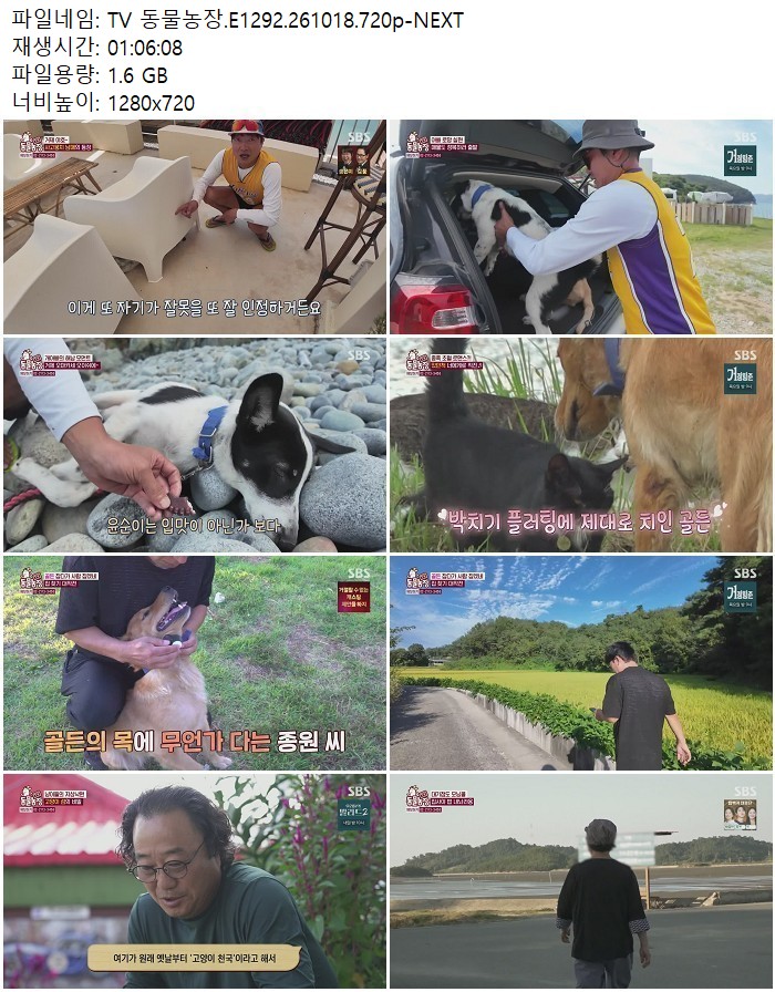 TV 동물농장.E1292.261018.720p-NEXT