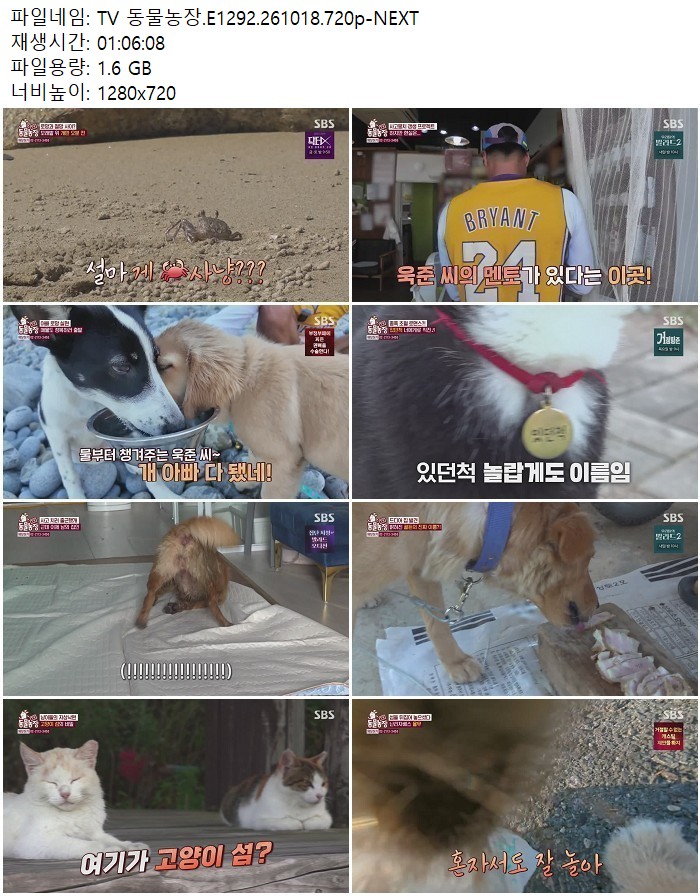 TV 동물농장.E1292.261018.720p-NEXT
