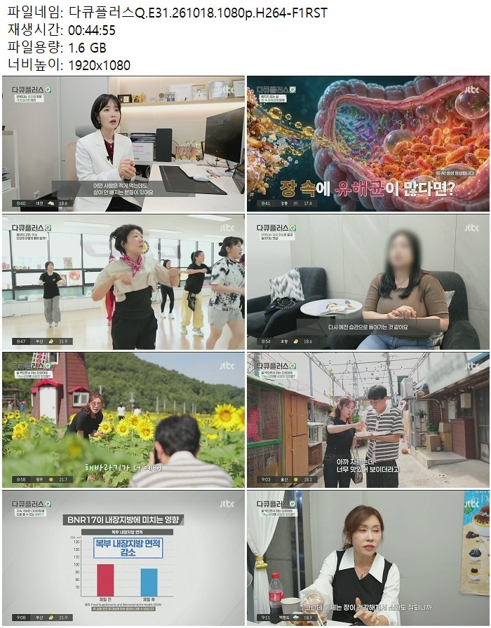 다큐플러스Q.E31.261018.1080p.H264