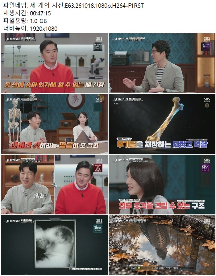 세 개의 시선.E63.261018.1080p.H264