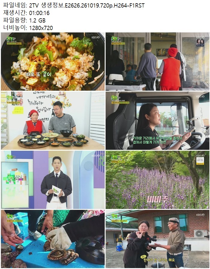 2TV 생생정보.E2626.261019.720p.H264-F1RST