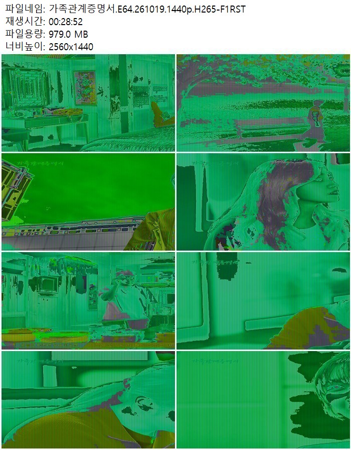 가족관계증명서.E64.261019.1440p.H265-F1RST