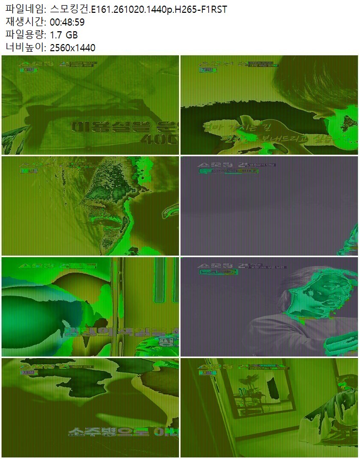 스모킹건.E161.261020.1440p.H265