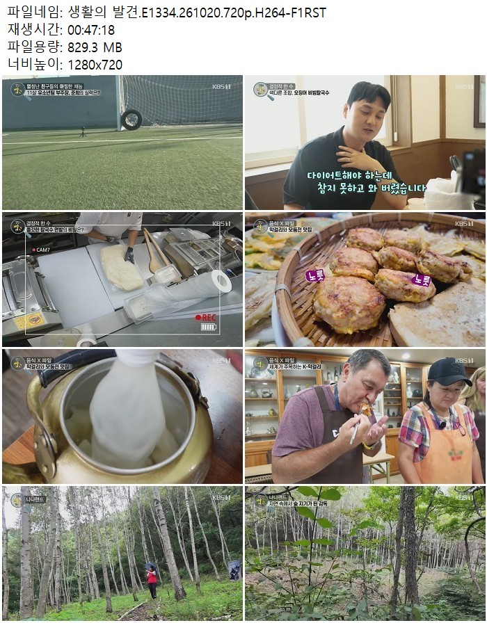 생활의 발견.E1334.261020.720p.H264