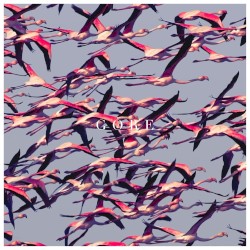 Deftones [2016 Gore] (FLAC)
