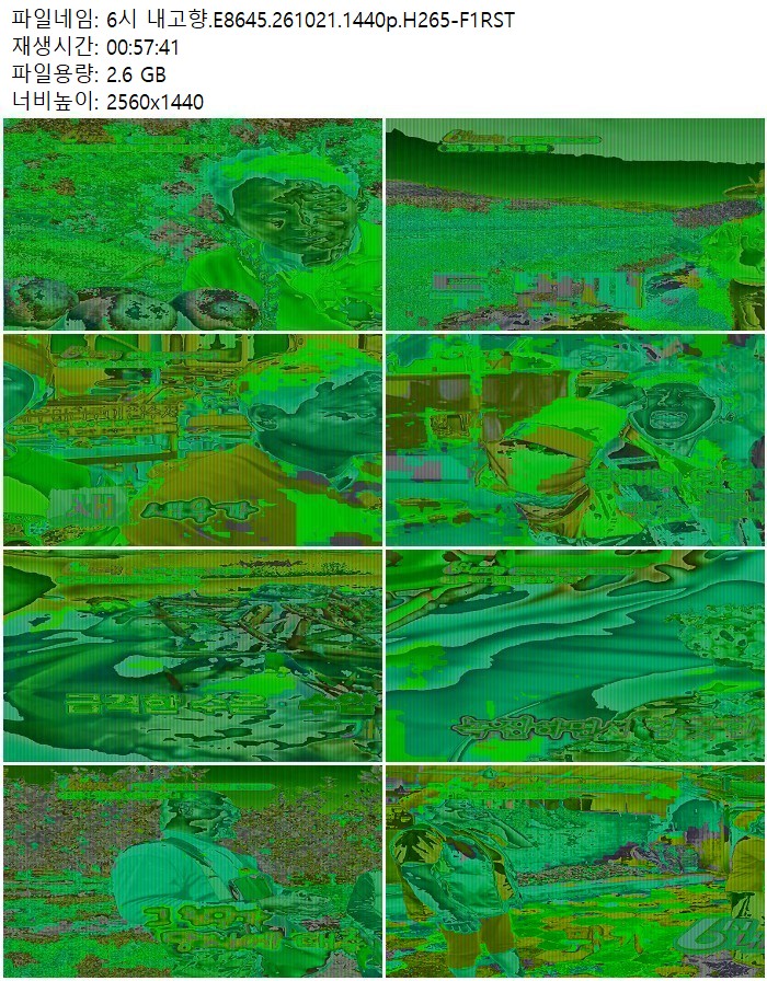 6시 내고향.E8645.261021.1440p.H265-F1RST