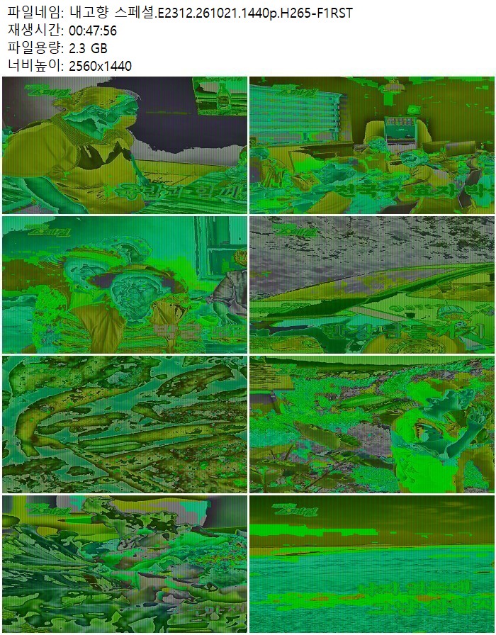 내고향 스페셜.E2312.261021.1440p.H265-F1RST