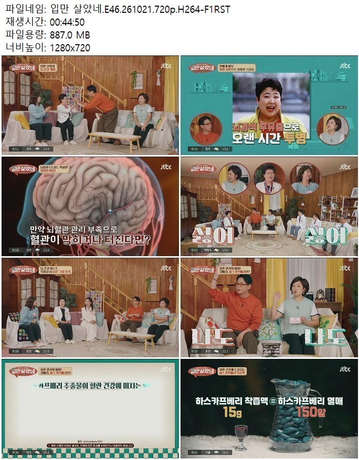 입만 살았네.E46.261021.720p.H264-F1RST