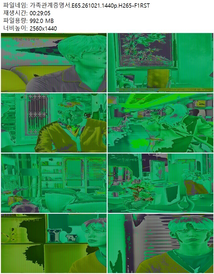 가족관계증명서.E65.261021.1440p.H265