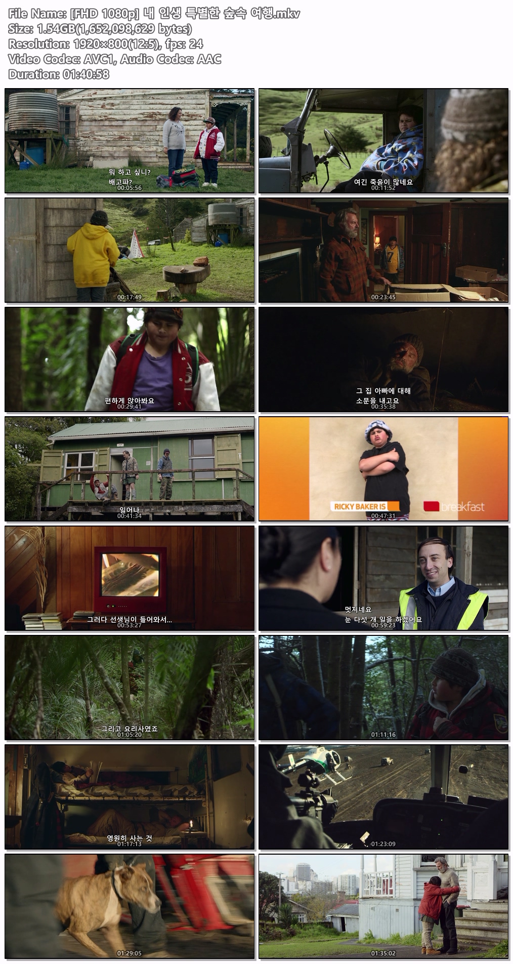 [FHD 1080p] 내 인생 특별한 숲속 여행