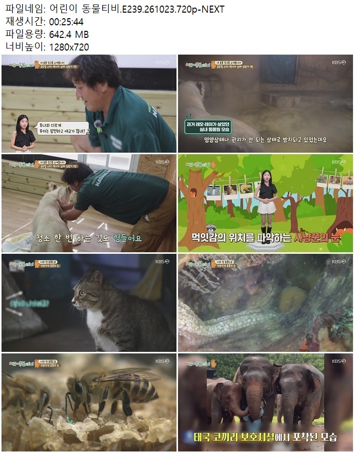어린이 동물티비.E239.261023.720p-NEXT