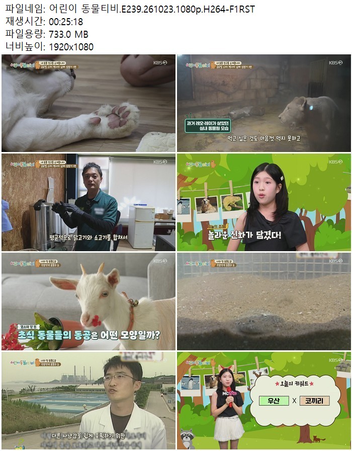 어린이 동물티비.E239.261023.1080p.H264