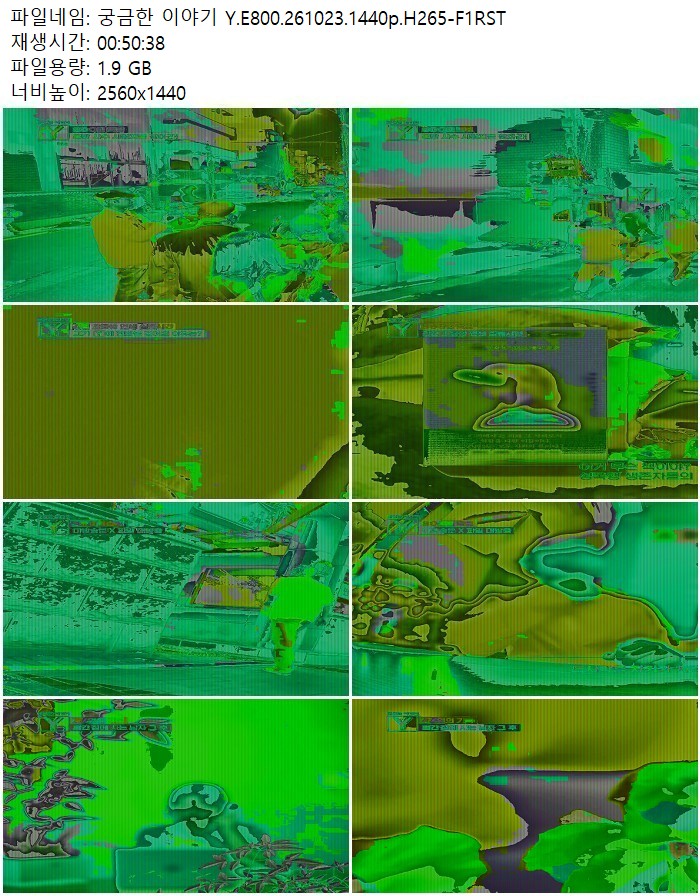 궁금한 이야기 Y.E800.261023.1440p.H265