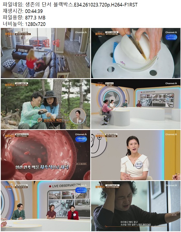 생존의 단서 블랙박스.E34.261023.720p.H264