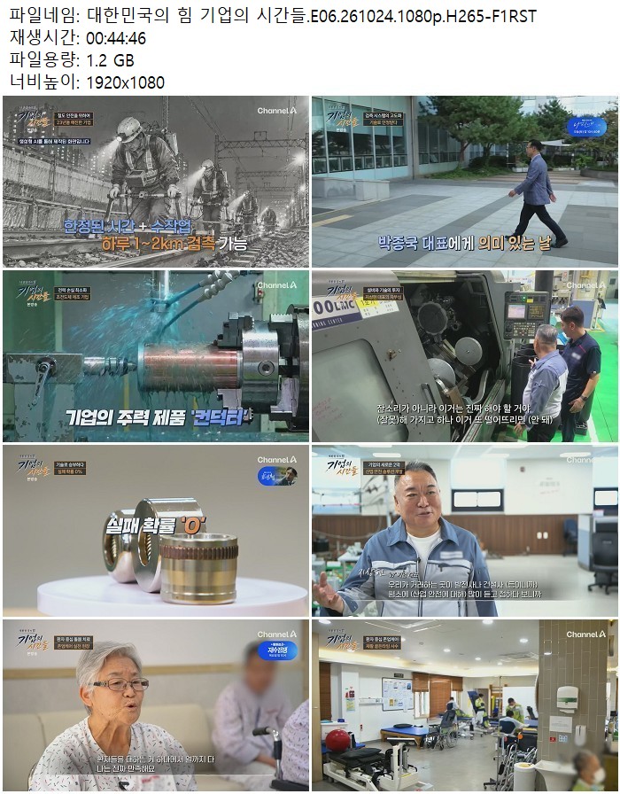 대한민국의 힘 기업의 시간들.E06.261024.1080p.H265