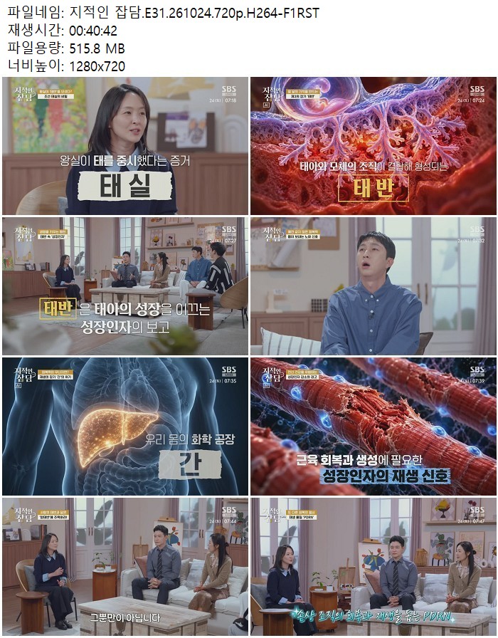 지적인 잡담.E31.261024.720p.H264