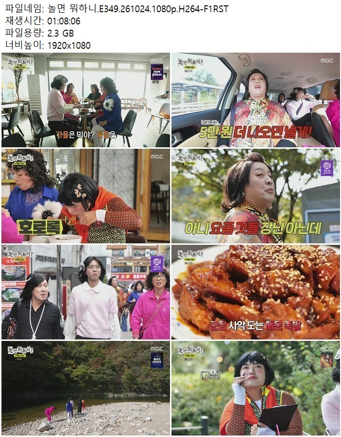 놀면 뭐하니.E349.261024.1080p.H264