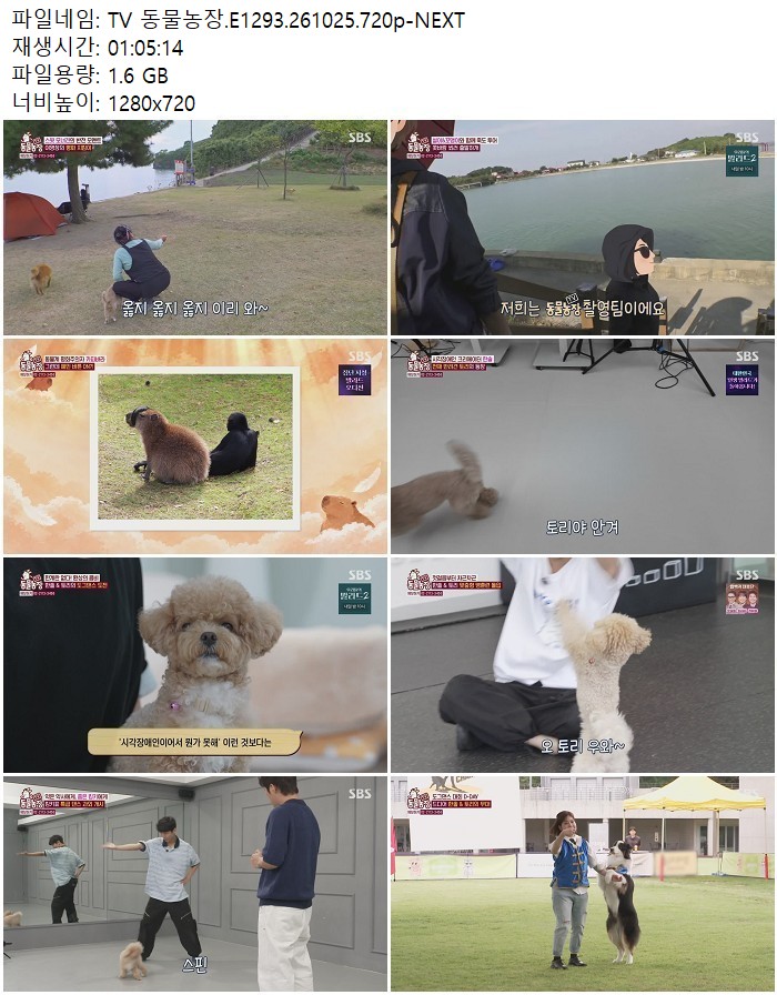 TV 동물농장.E1293.261025.720p-NEXT